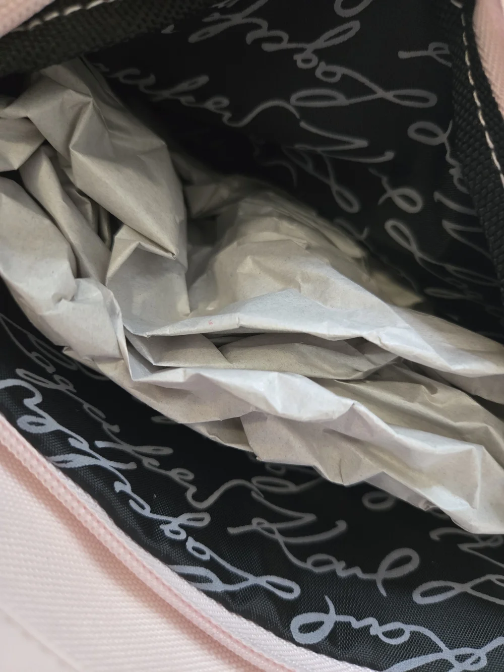 NWT Karl Lagerfeld Pink Cat Graphic Mini Backpack